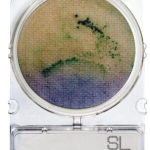 Compact Dry - Microbiología Superficies - Salmonella