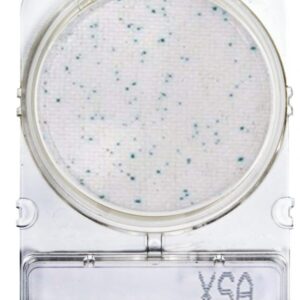 Compact Dry - Microbiología Superficies - Staphylococcus