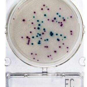 Compact Dry - Microbiología Superficies - Coliformes/E.coli