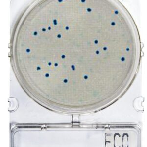 Compact Dry - Microbiología Superficies - E.coli